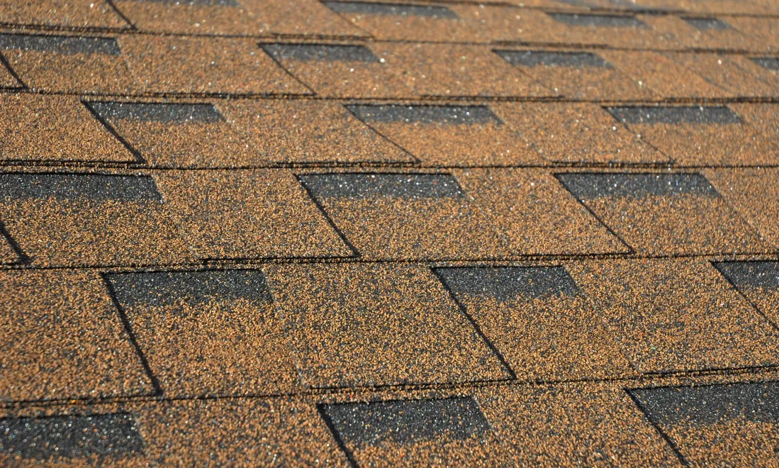 Brown and black asphalt shingle roof.