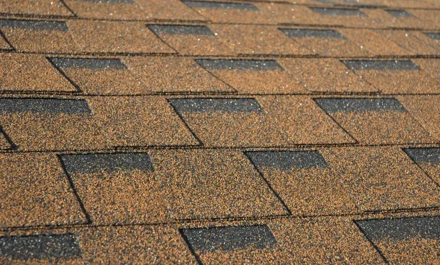 Brown and black asphalt shingle roof.