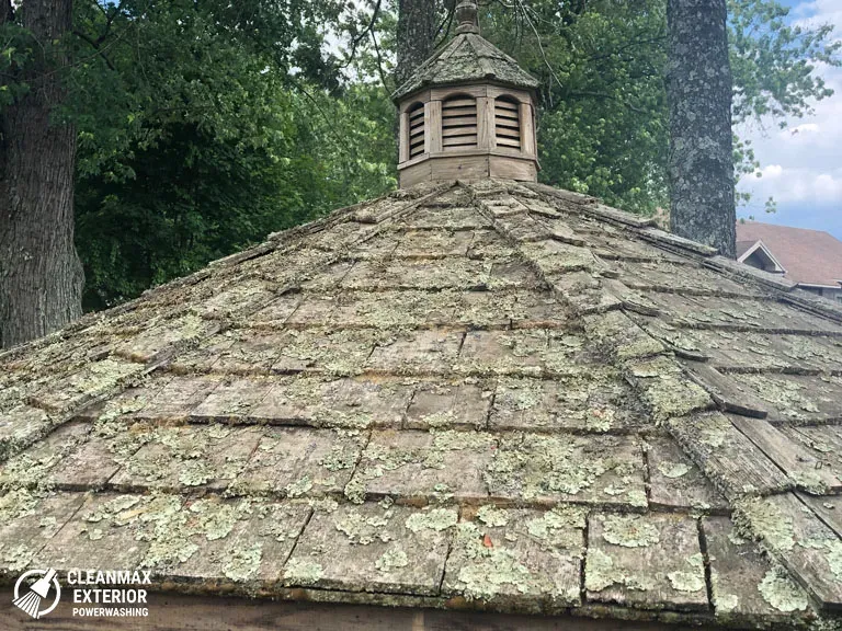 image-before