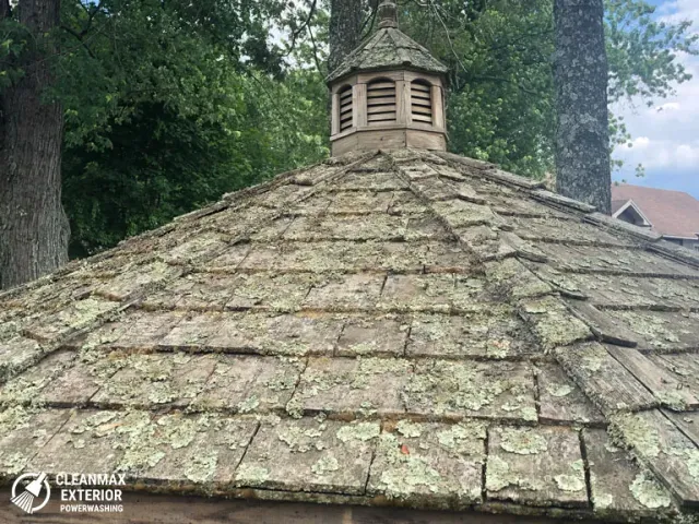 image-before