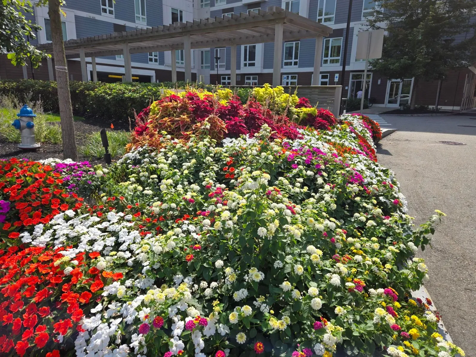 work photo from cunnifflandscape.com