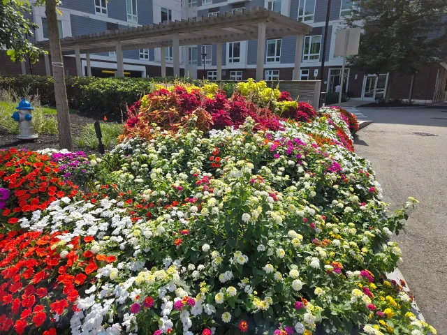 work photo from cunnifflandscape.com