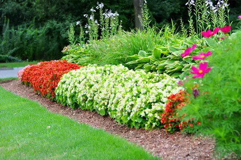 work photo from indresanolandscaping.com