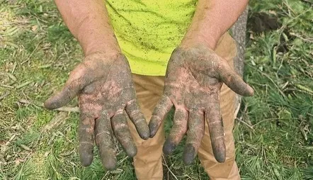 work photo from bellojardintreeserviceslandscaping.schedulista.com