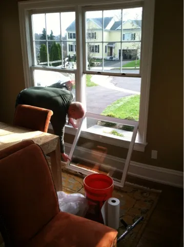 windows