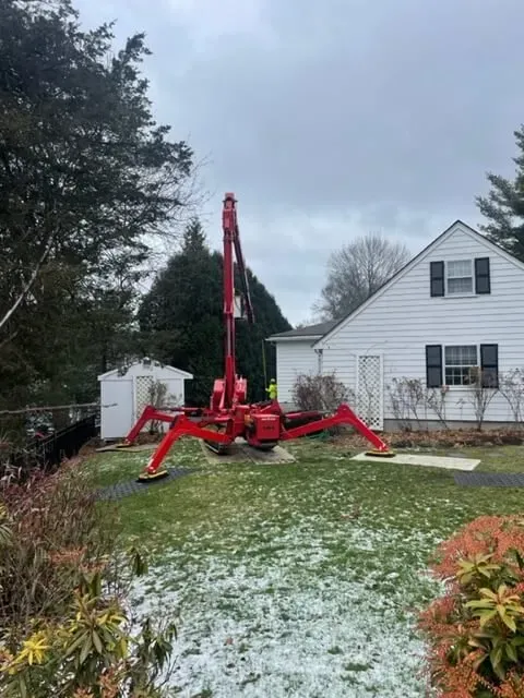 work photo from treetechinc.net