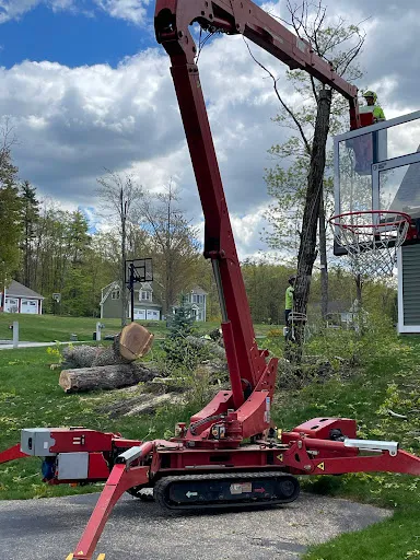 DAVIDS TREE SERVICE & FIREWOOD LLC work photo