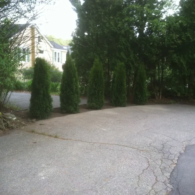 Woodman Landscaping, LLC researched project photo