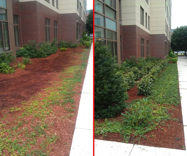 John Nicolazzo & Sons Landscaping researched project photo