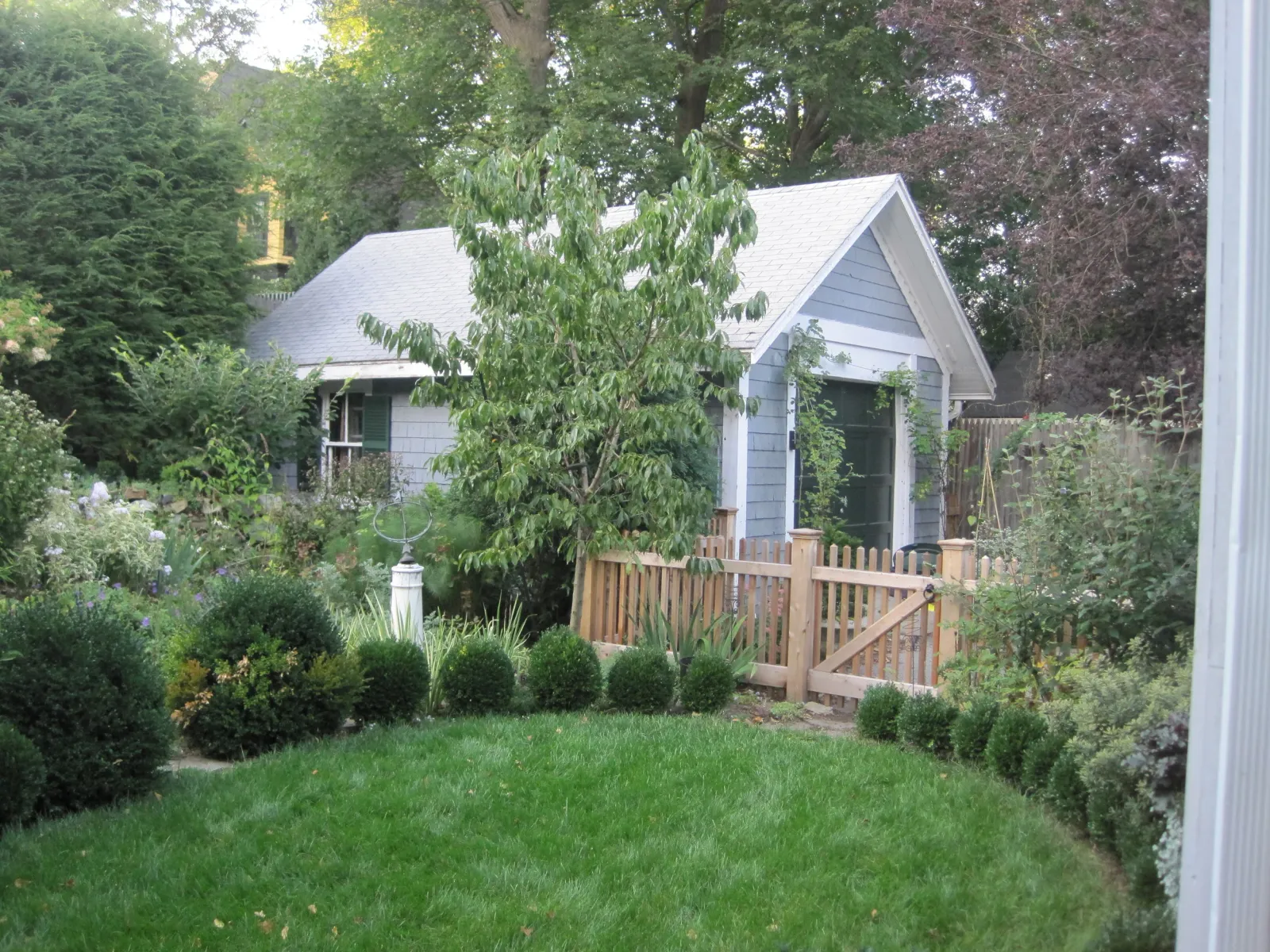 Jason Street Back Garden Planting.JPG