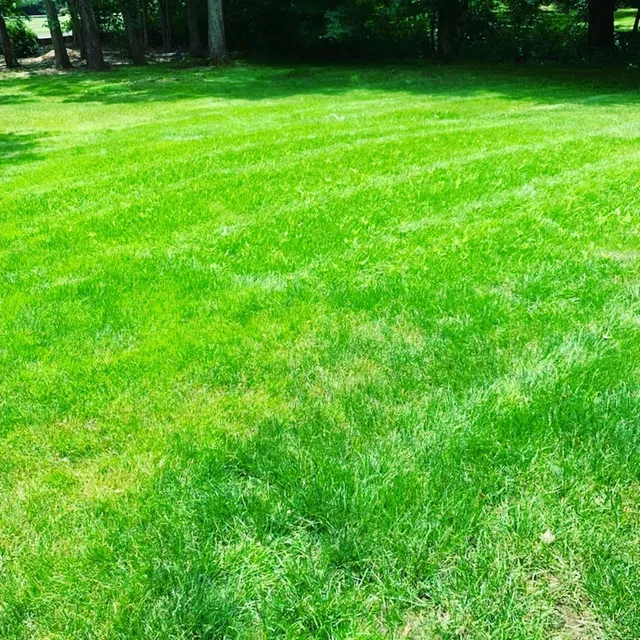 Briones Lawn Care LLC work photo