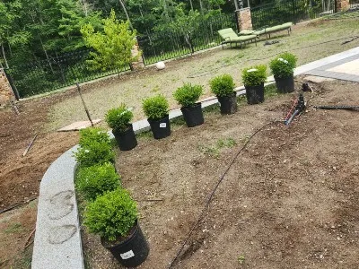 Lawn Renovation Brookline