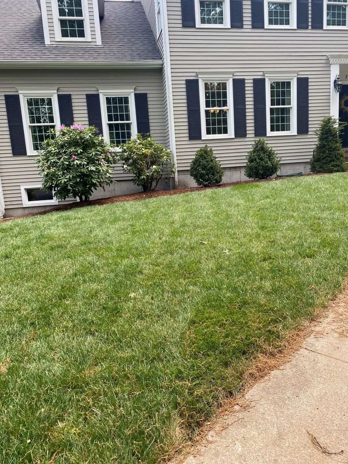 Residential landscaping transformation