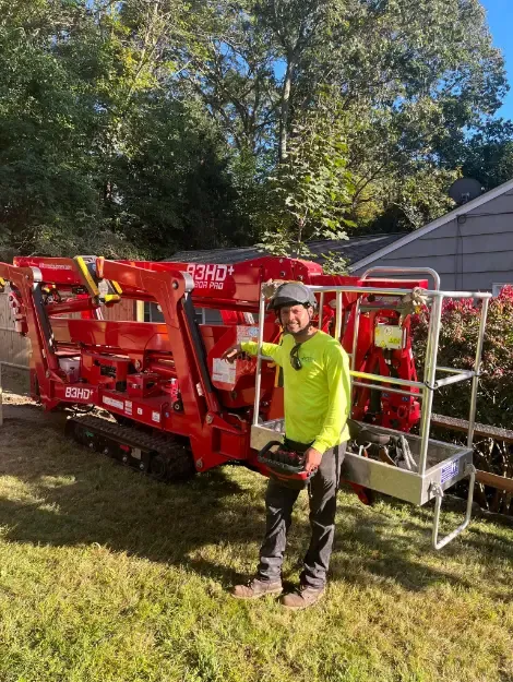 work photo from berrystreeservice-ct.com