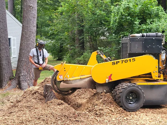 Maineland Stump Grinding work photo