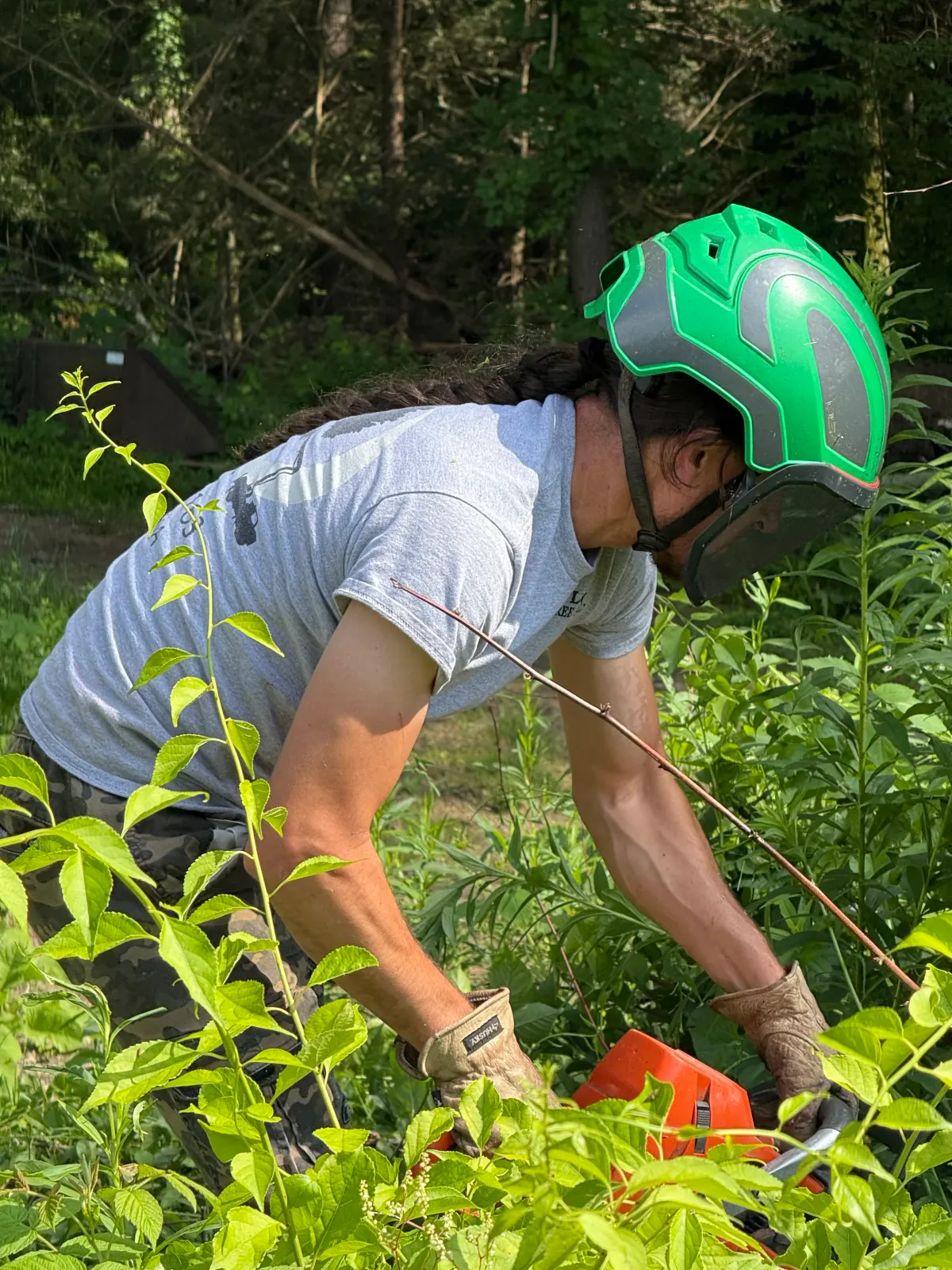 Person wearing a green helmet and gloves, cutting bushes with a chainsaw in a green outdoor setting.
