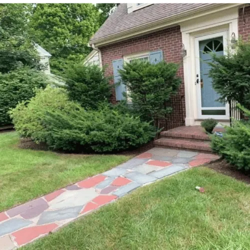 Alex Pro Tree Services Landscape, LLC work photo