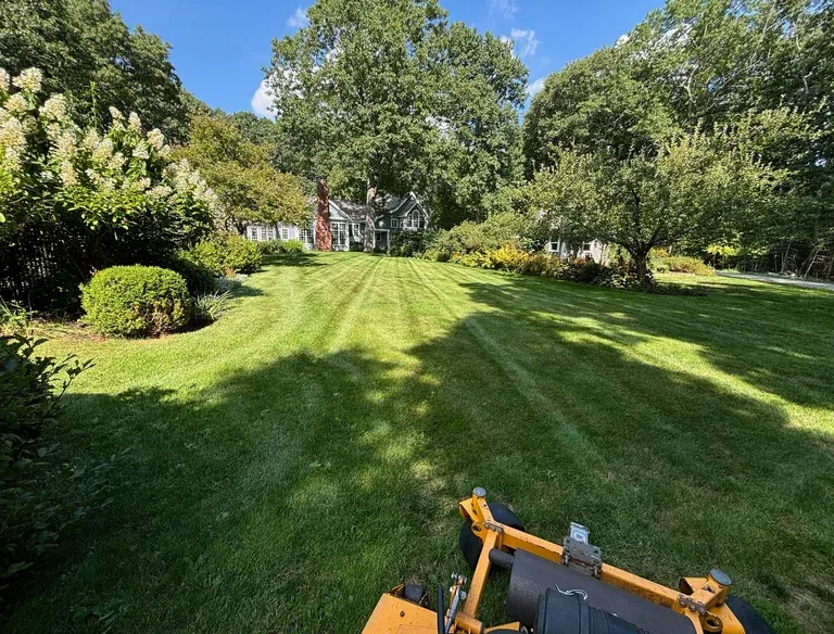 lawn-maintenance-in-north-shore-residential-yard