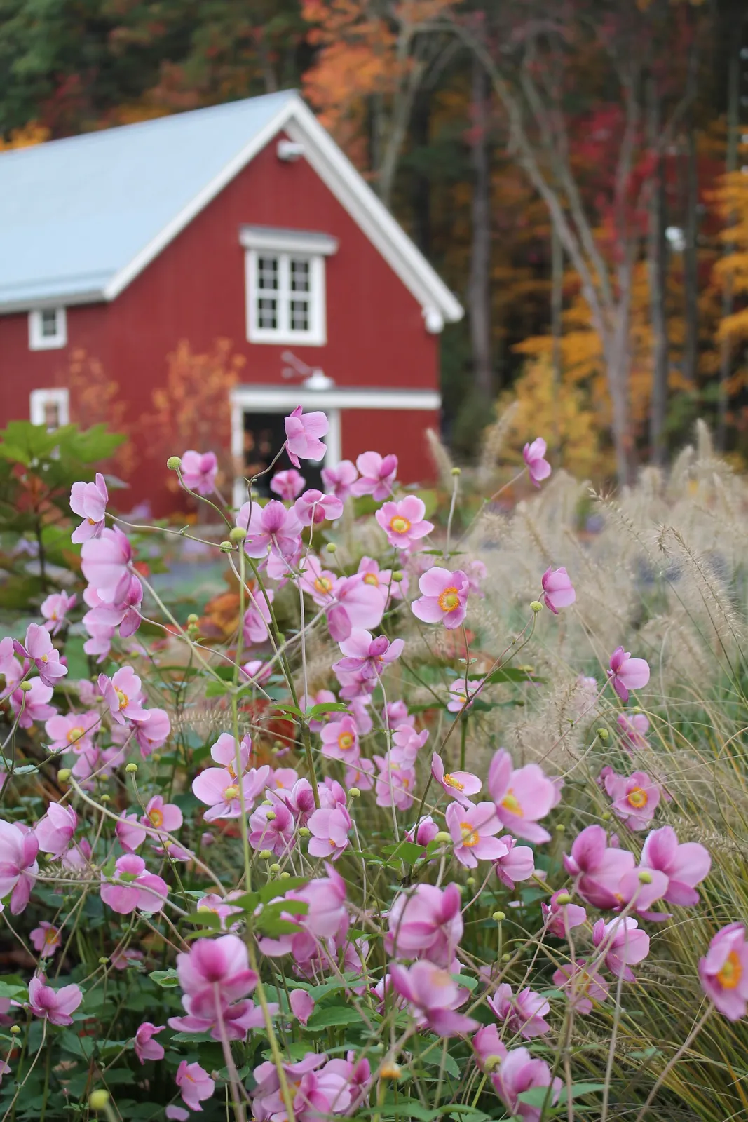 CS Bailey Landscape, Inc.