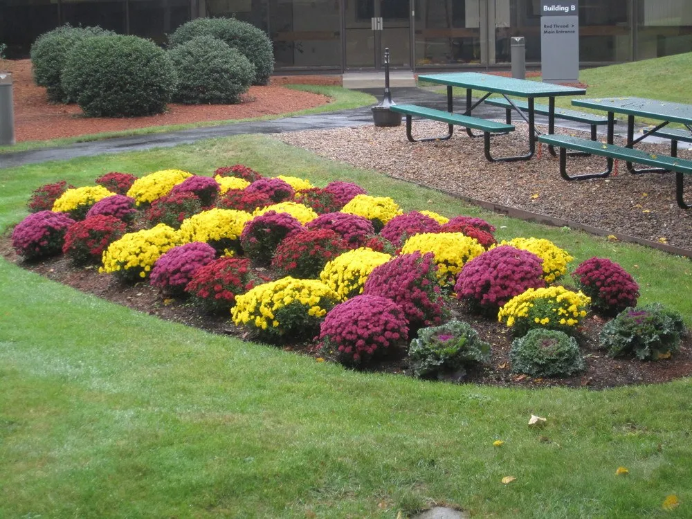 work photo from mcleodlandscaping.com