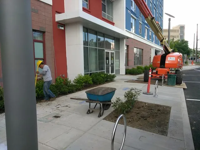 Commercial tree services