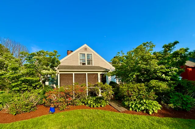 Bruni Landscaping work photo