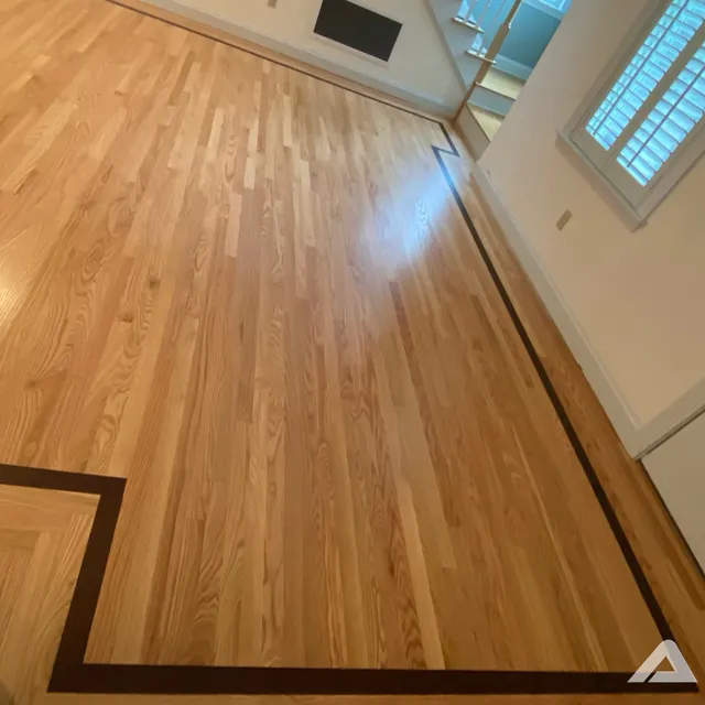 Absolute Floors