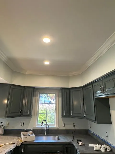 work photo from spectrumwallcopaintingllc.com