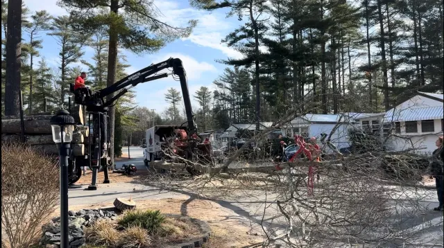 work photo from peterprotree.com
