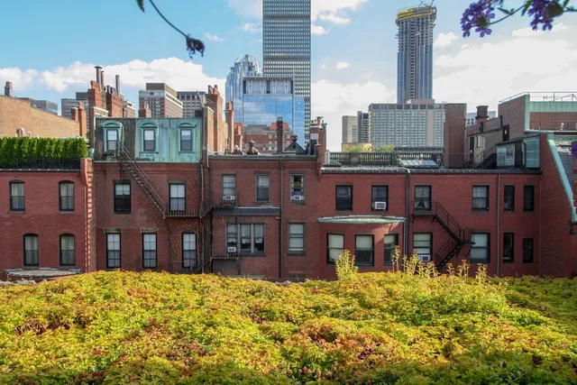 Recover Green Roofs
