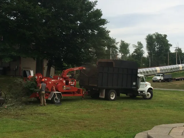 Princeton Tree Services work photo