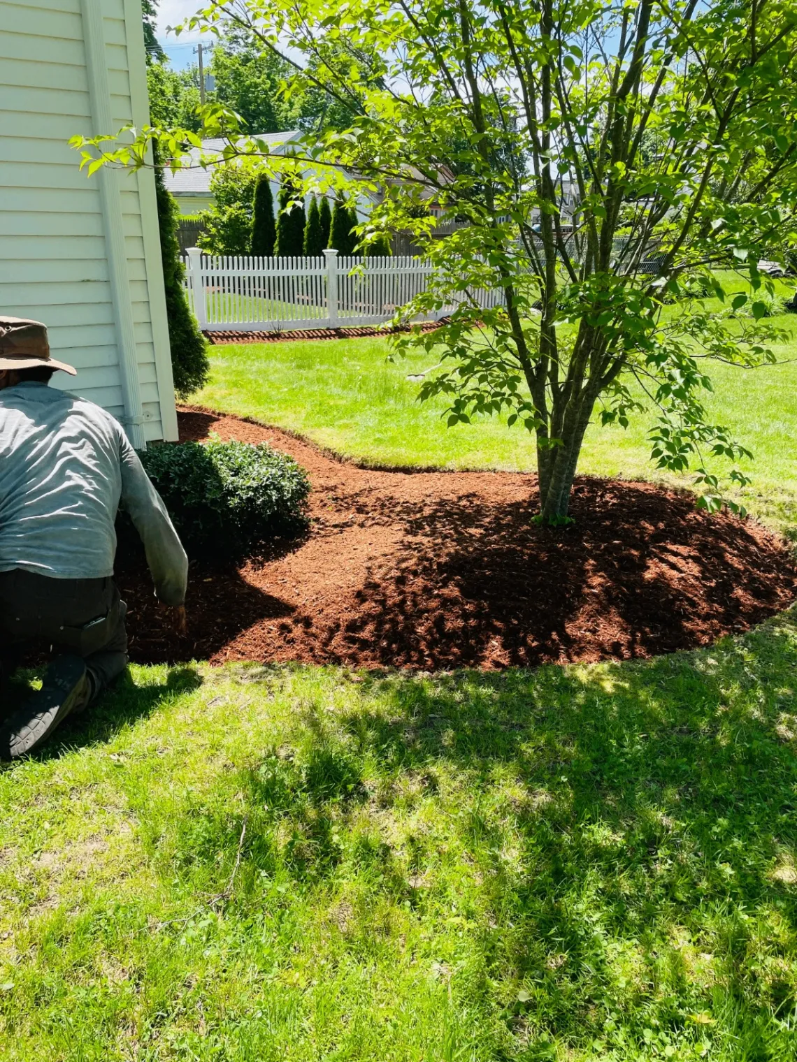 Tree maintenance and mulch installation around trees