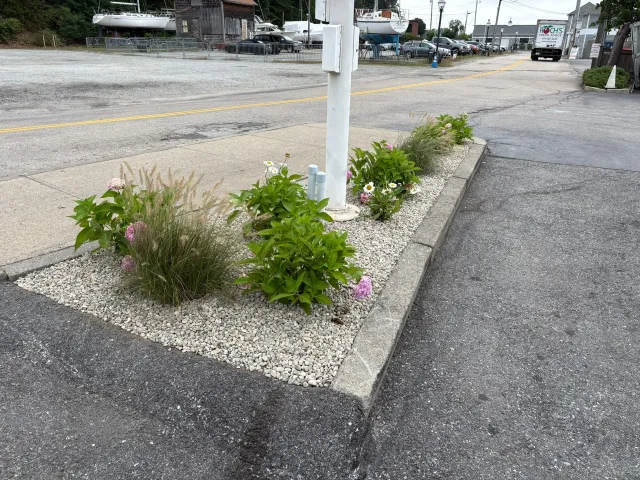 A roadside flower bed with various green plants and light gray gravel.