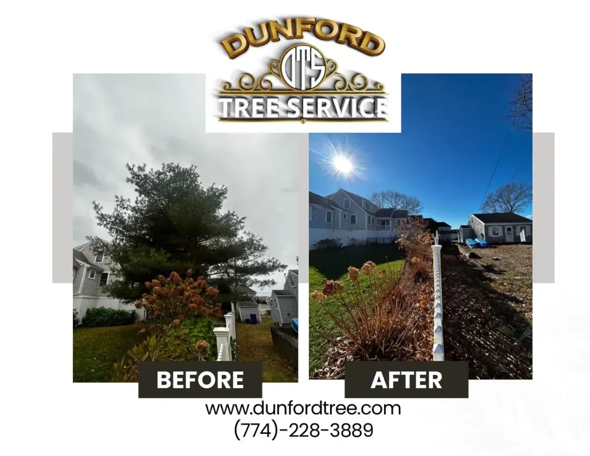 work photo from dunfordtree.com