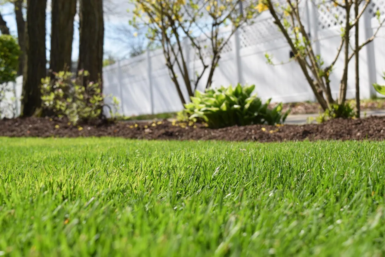Jon Sneider Lawn Care & Tree Service