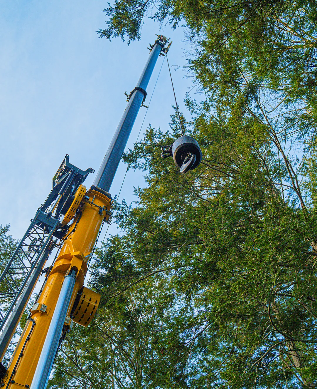 New England Tree Masters | Tree Service in Boxborough MA