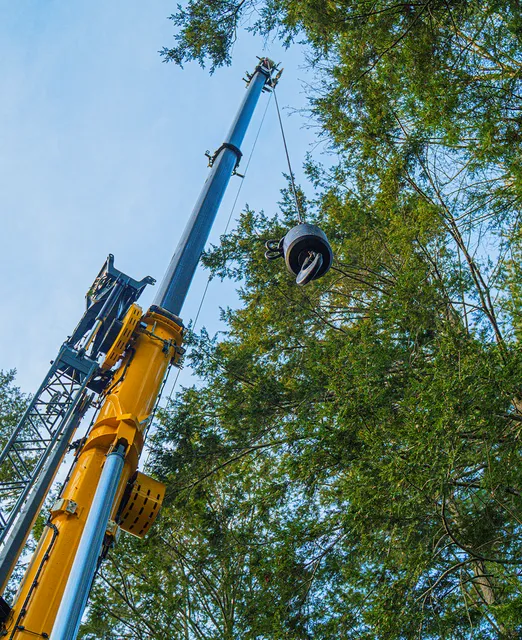 New England Tree Masters | Tree Service in Boxborough MA