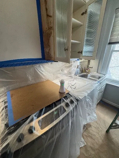 Fast Mold Testing - Boston
