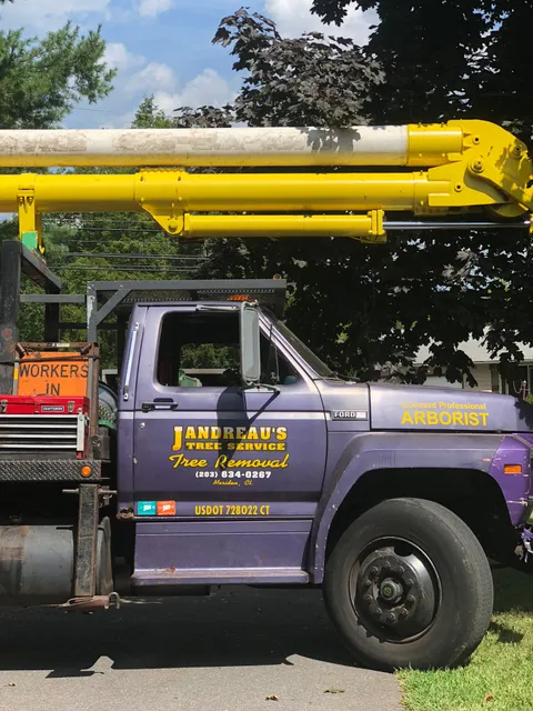 Jandreau's Tree Services work photo