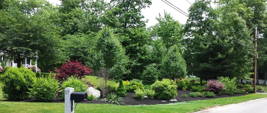 work photo from supremelandscaping.net