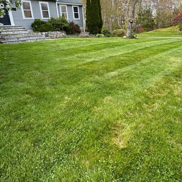 A & V Landscaping work photo