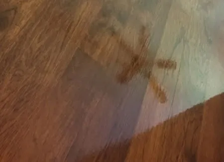 work photo from hilltownhardwoodflooring.com