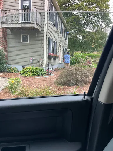 Insight Pest Solutions work photo