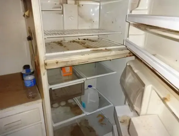 Refrigerator before