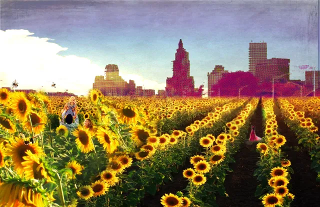 10,000 Suns Field and the City