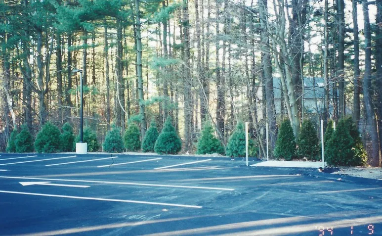 Landscaping Unlimited researched project photo