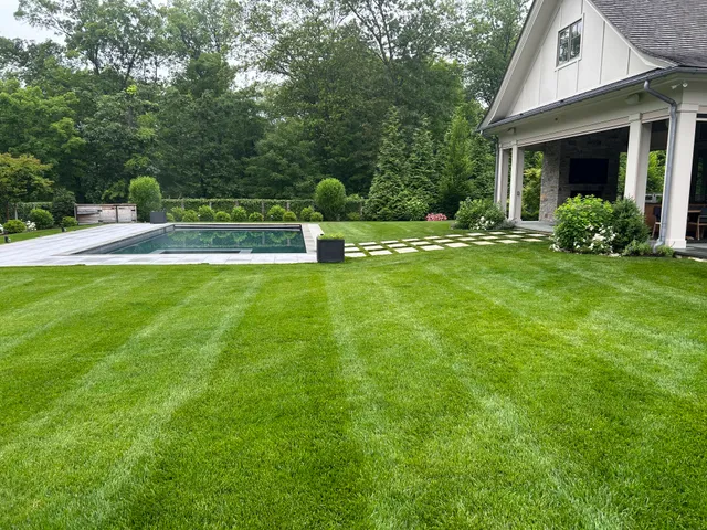 Lucky Lawn work photo