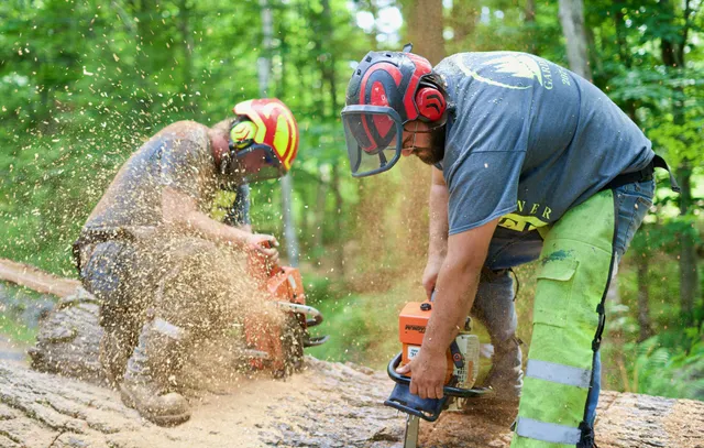 work photo from gardnertreeme.com