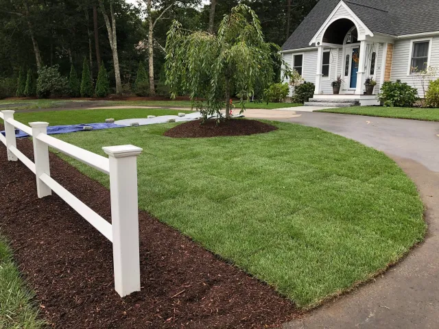 Lawn and tree service