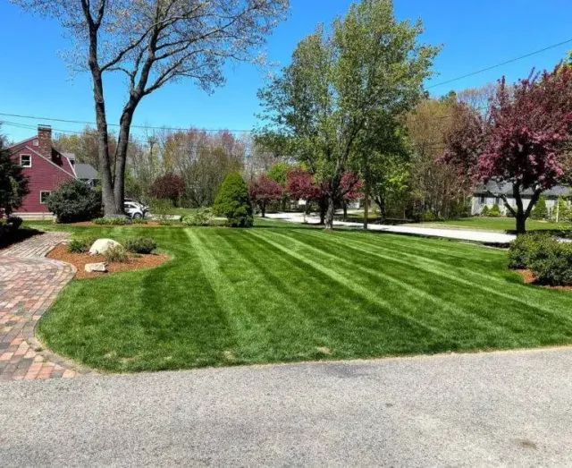 lawn care expert